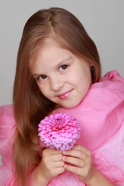 Menina segurando um dahlias rosa — Fotografia de Stock