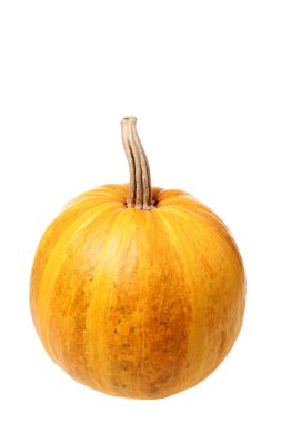 beyaz arkaplanda kabak