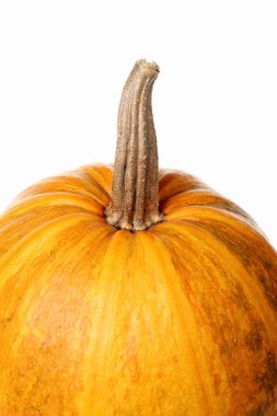 beyaz arkaplanda kabak