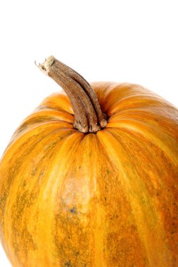 beyaz arkaplanda kabak