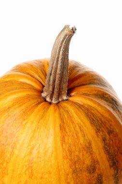 beyaz arkaplanda kabak