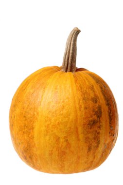 beyaz arkaplanda kabak