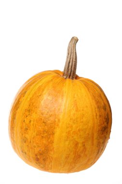 beyaz arkaplanda kabak