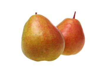 armutlar beyaz arkaplanda