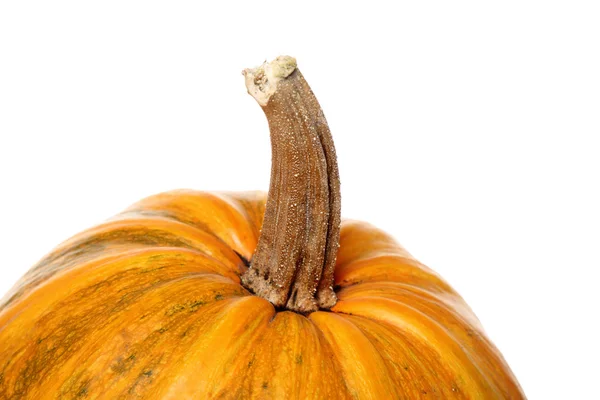 Citrouille sur Halloween — Photo