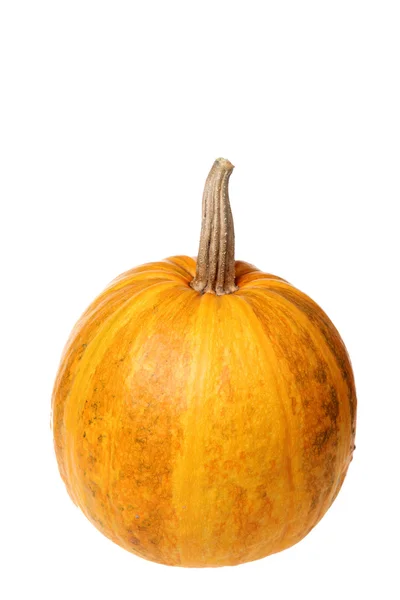 Zucca su Halloween — Foto Stock