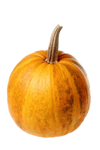 Zucca su Halloween — Foto Stock