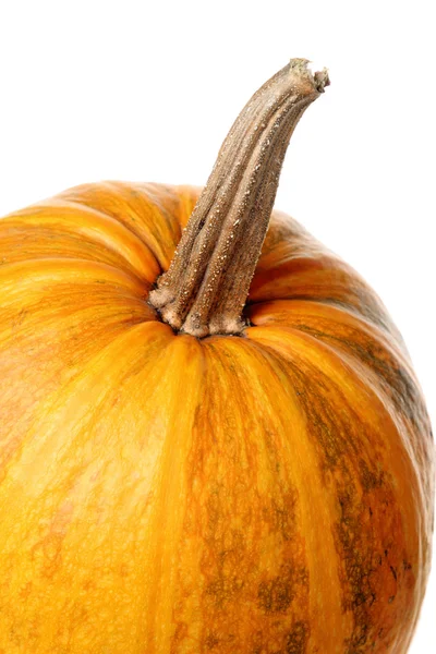 Zucca su Halloween — Foto Stock