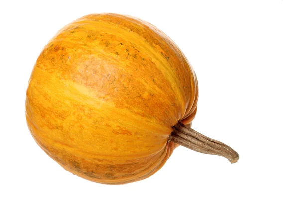 Calabaza sobre fondo blanco — Foto de Stock