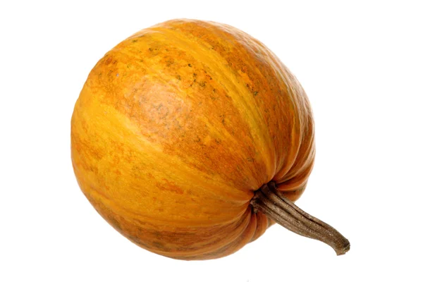Pumpkin on white background — Stock Photo, Image