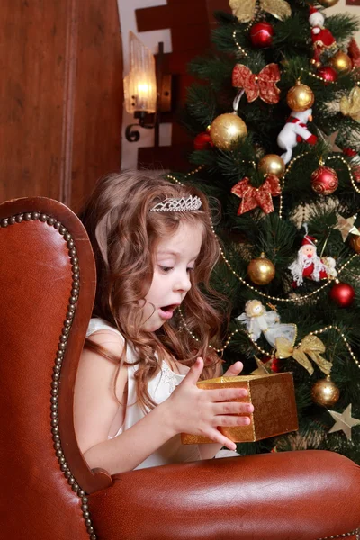 Bella principessa vicino all'albero di pelliccia — Foto Stock