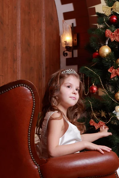 Bella principessa vicino all'albero di pelliccia — Foto Stock