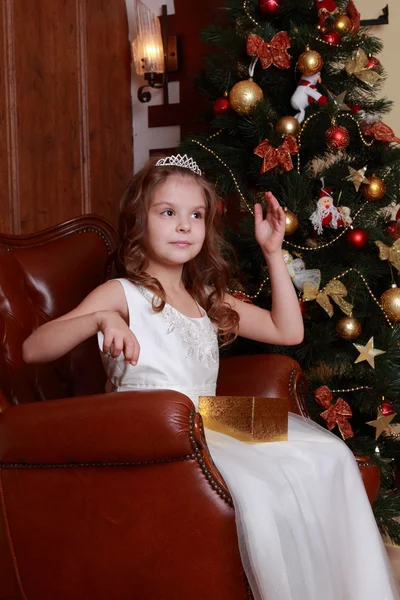 Hermosa princesa cerca del árbol de piel —  Fotos de Stock