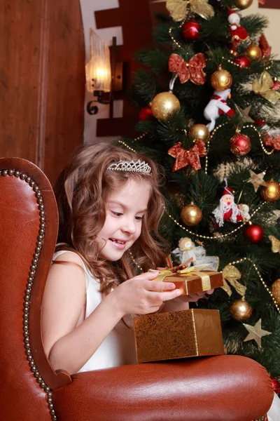 Bella principessa vicino all'albero di pelliccia — Foto Stock