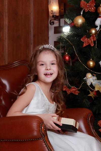 Beautiful princess near the fur-tree — Stock Photo, Image