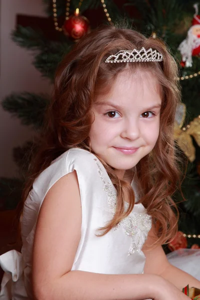 Beautiful princess near the fur-tree — Stock Photo, Image