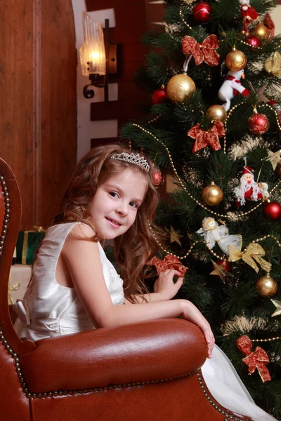 Bella principessa vicino all'albero di pelliccia — Foto Stock