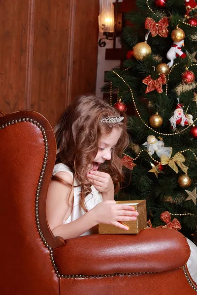 Hermosa princesa cerca del árbol de piel —  Fotos de Stock