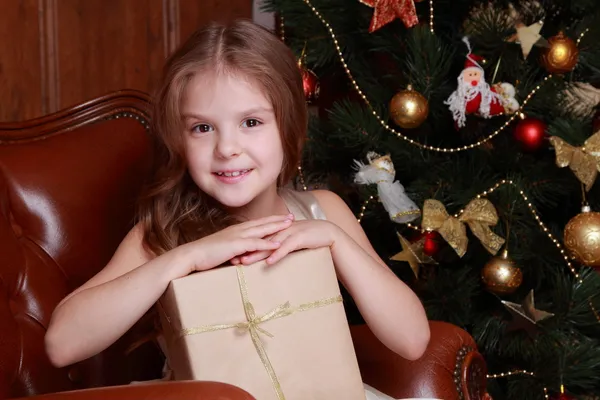 Bella principessa vicino all'albero di pelliccia — Foto Stock