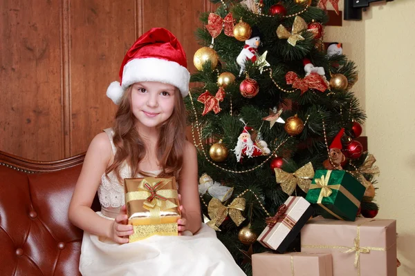 Hermosa princesa cerca del árbol de piel —  Fotos de Stock