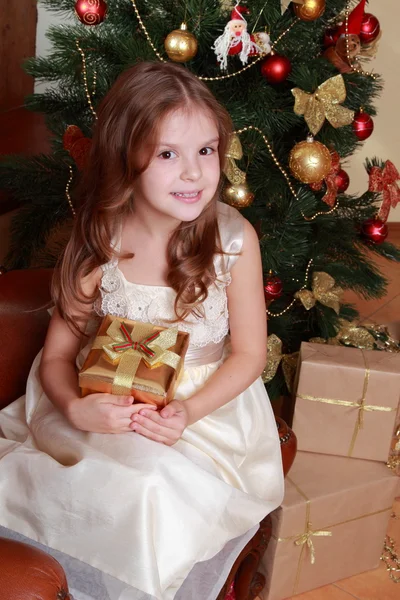 Beautiful princess near the fur-tree — Stock Photo, Image