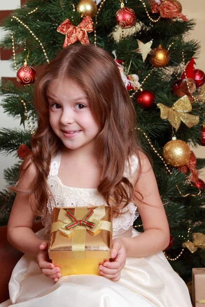 Beautiful princess near the fur-tree — Stock Photo, Image