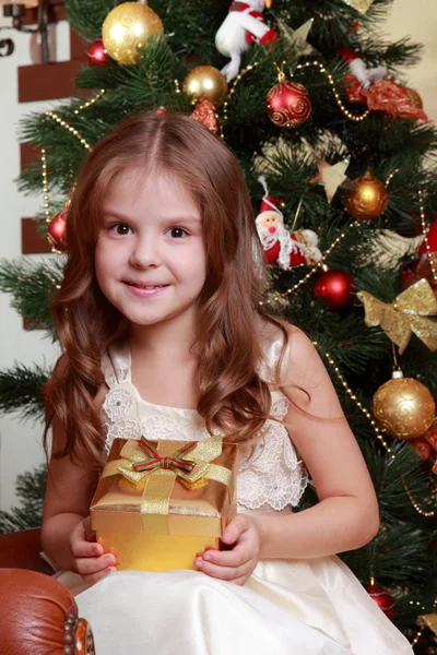 Beautiful princess near the fur-tree — Stock Photo, Image