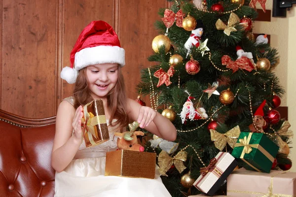 Bella principessa vicino all'albero di pelliccia — Foto Stock