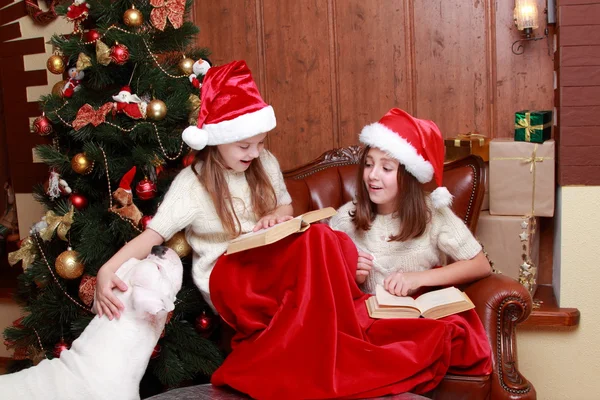 Girls playing with dog on Christmas — Stock Photo, Image