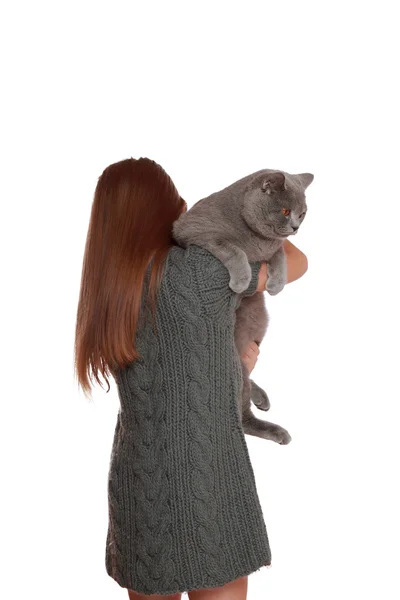 Little girl played with a British cat — Stock Photo, Image