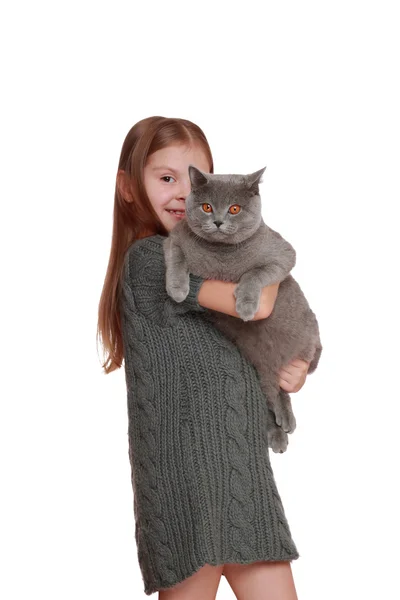 Küçük kız bir İngiliz kedi ile oynadı — Stok fotoğraf