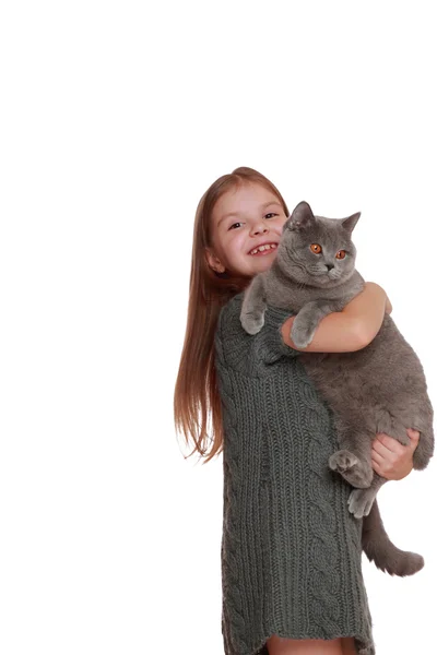 Niña jugando con un gato británico — Foto de Stock