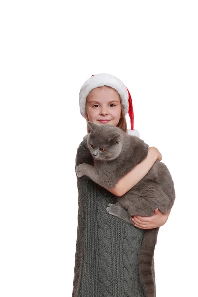 Little girl with her new cat — Stock Photo, Image