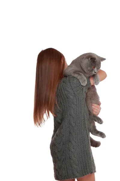 Little girl played with a British cat — Stock Photo, Image