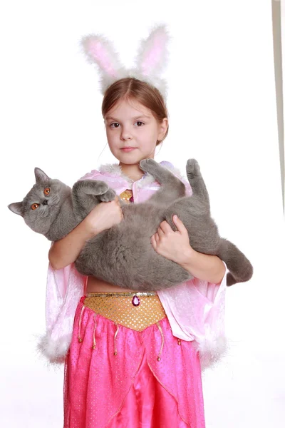 Little girl with a British cat — Stock Photo, Image