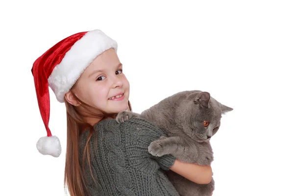 Little girl with her new cat — Stock Photo, Image