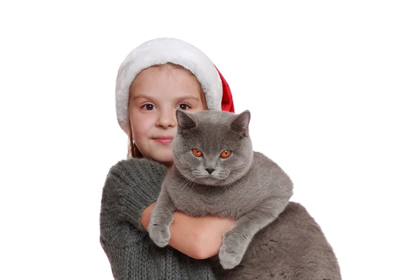 Little girl with her new cat — Stock Photo, Image