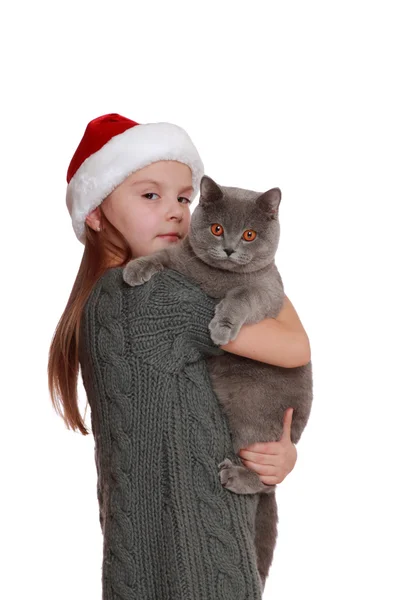 Kleines Mädchen mit ihrer neuen Katze — Stockfoto