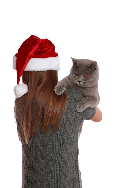 Little girl with her new cat — Stock Photo, Image