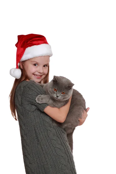 Little girl with her new cat — Stock Photo, Image