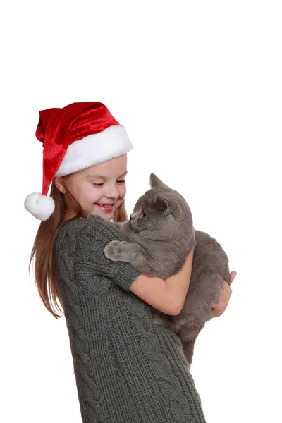 小さな女の子と彼女の新しい猫 — ストック写真