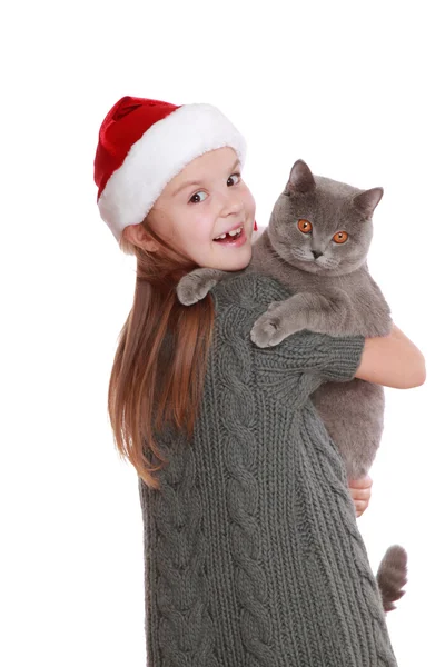 Little girl with her new cat — Stock Photo, Image