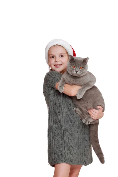 Little girl with her new cat — Stock Photo, Image