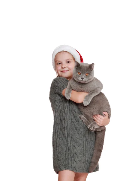 Little girl with her new cat — Stock Photo, Image