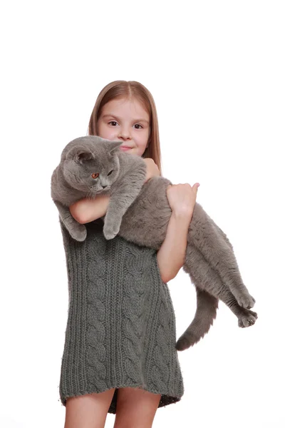 小女孩和一只猫玩 — 图库照片
