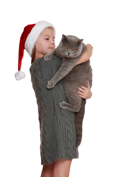 Holčička s její novou kočku — Stock fotografie