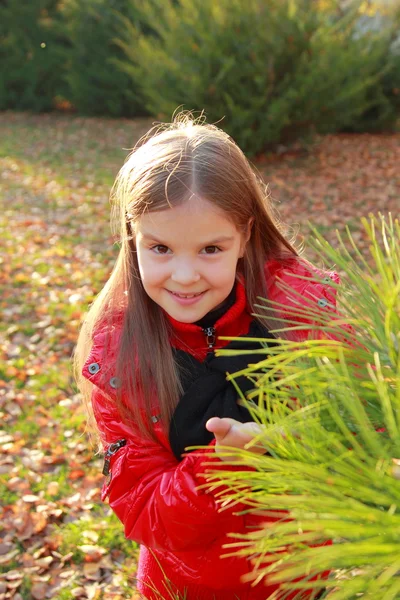Sonbahar Park'ta küçük kız — Stok fotoğraf