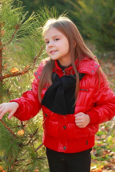 Little girl at autumn park — Stock Photo, Image