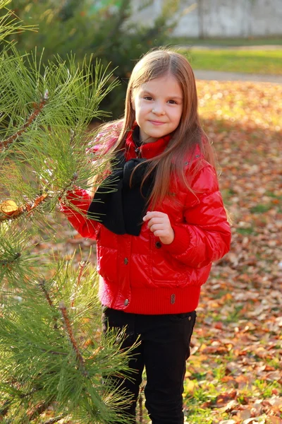 Bambina al parco autunnale — Foto Stock