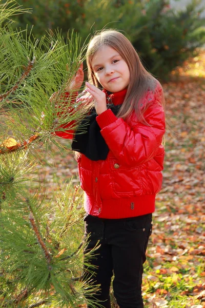 Bambina con foglie d'acero — Foto Stock